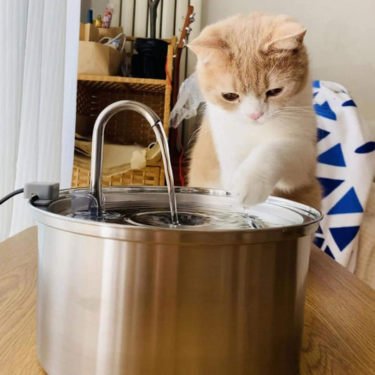 AquaPaws Water Station