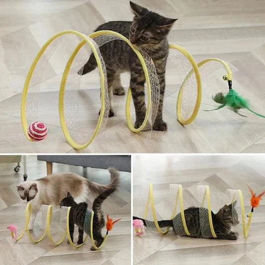 Cat Tunnel