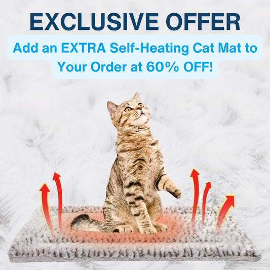 Self-Heating Cat Mat