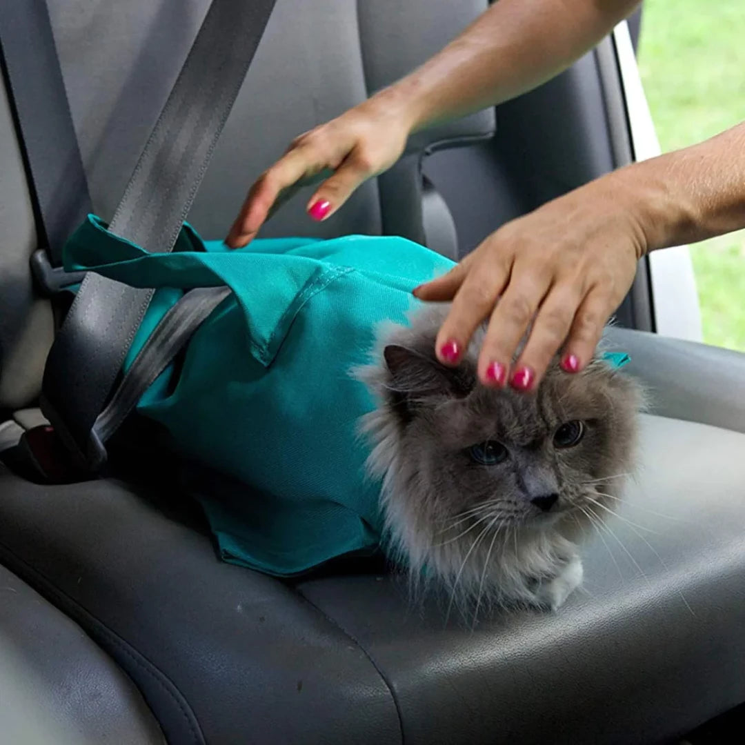 Buy One And Get One FREE: Cat Carrier Pouch