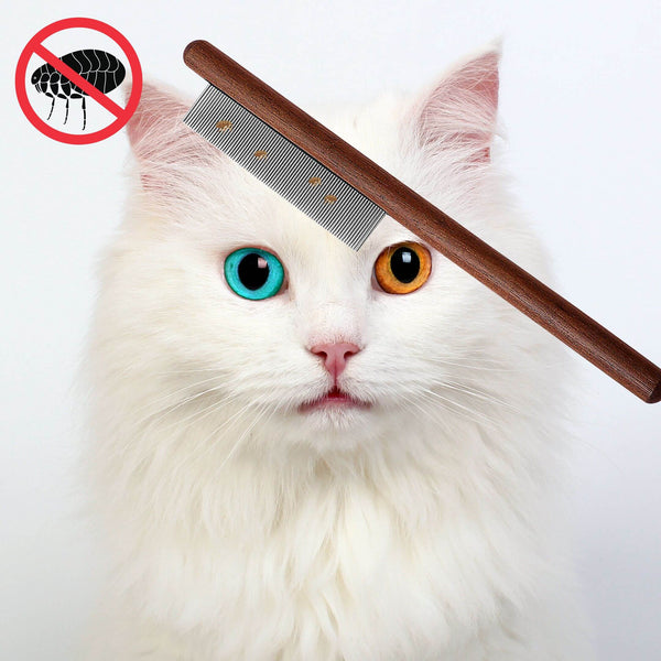 High-Grade Elbenwood Cat Comb