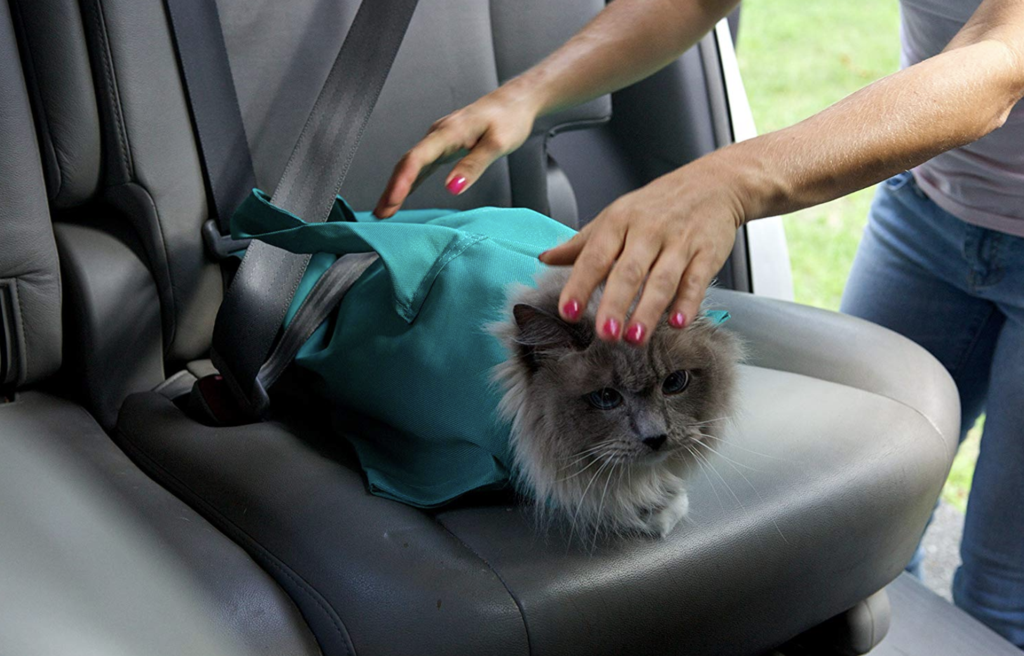 Buy One And Get One FREE: Cat Carrier Pouch